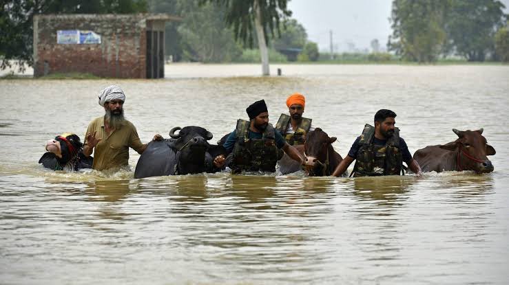 पंजाब बाढ़ संकट: अब तक 43 लोगों की मौत