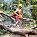 चक्रवात मॉन्था: आंध्र प्रदेश में तेज हवाएं और बारिश