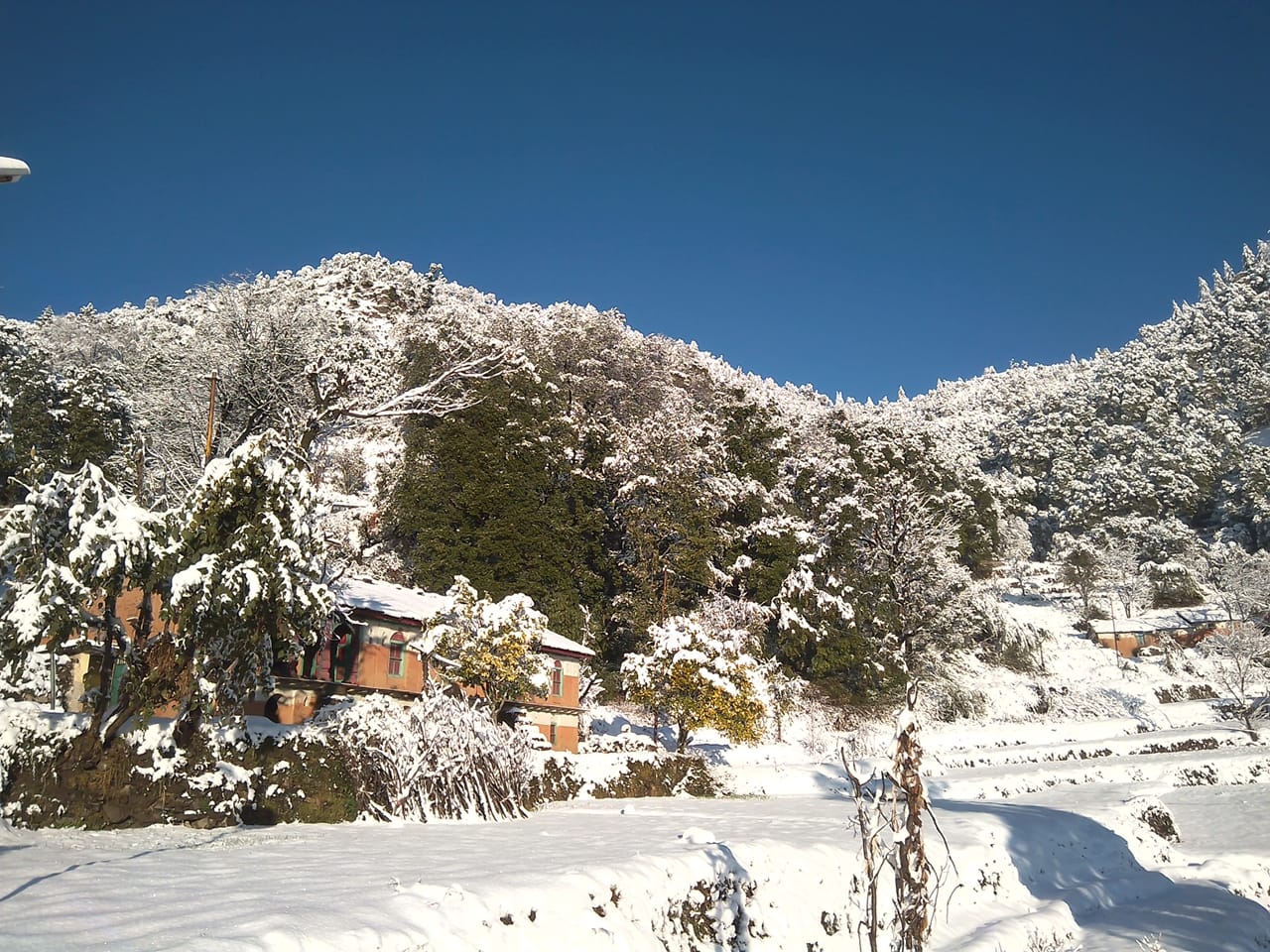 पहाड़ों में बर्फबारी, मैदानों में ठंड