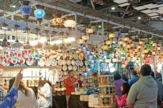 दिल्ली ट्रेड फेयर 2025