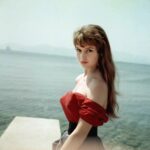 Brigitte Bardot का निधन: अभिनेत्री से पशु अधिकार कार्यकर्ता तक