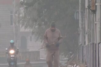 Cold Wave Alert: IMD का 7 राज्यों में येलो अलर्ट जारी