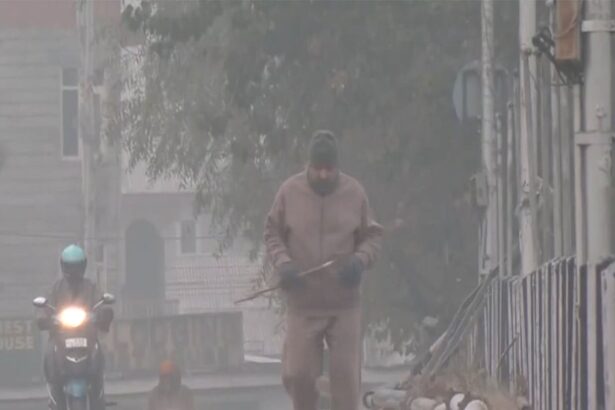 Cold Wave Alert: IMD का 7 राज्यों में येलो अलर्ट जारी