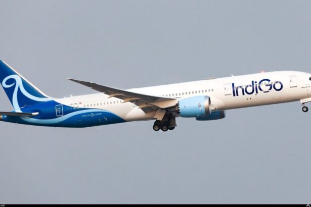 Indigo
