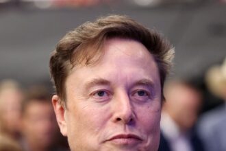 elon musk and grok issue