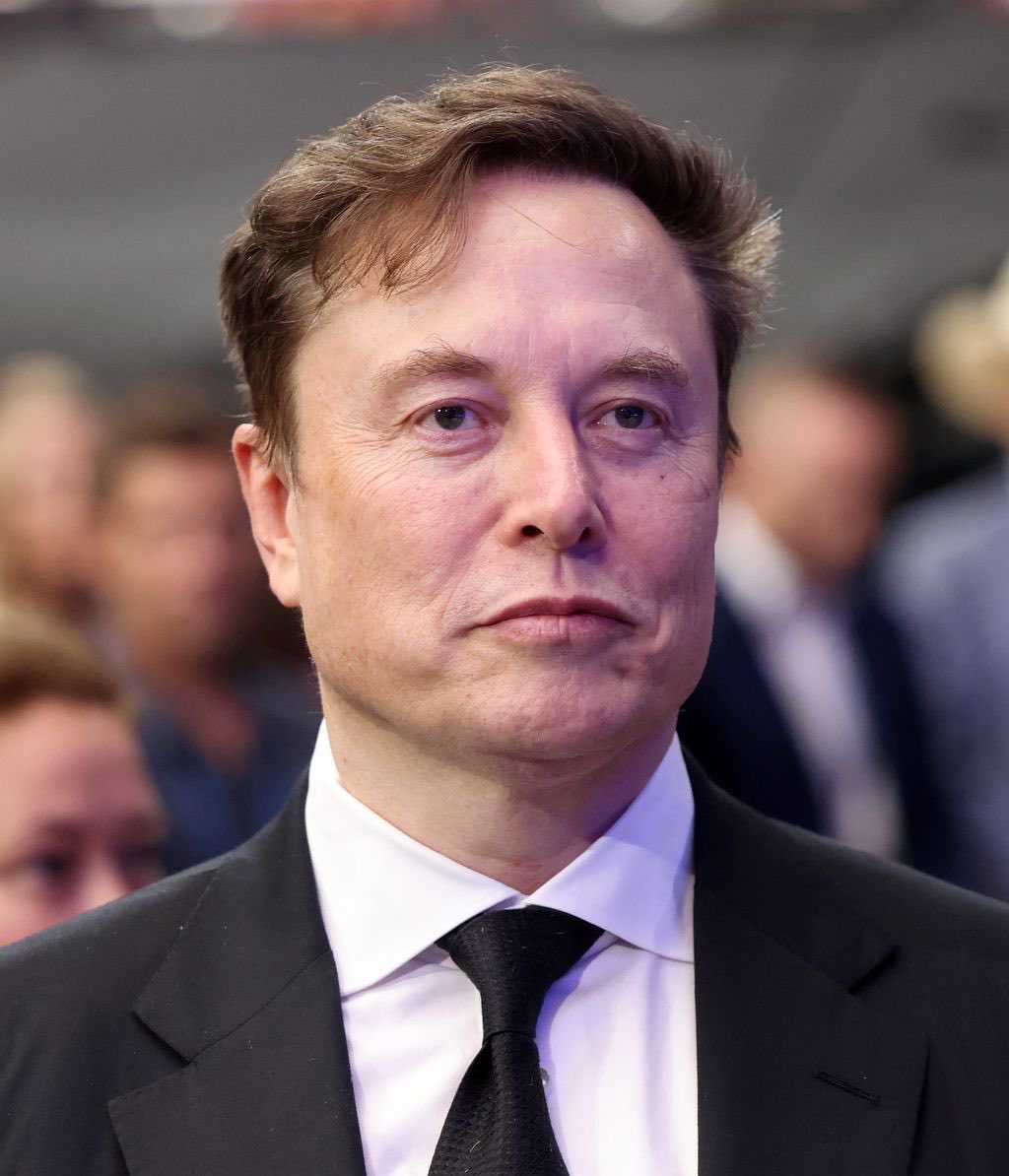 elon musk and grok issue