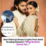 veer pahadiya and tara sutaria breakup